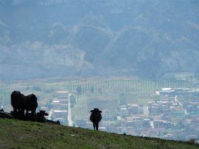 P1010470 (Large).JPG