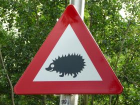 P1040849 (Large).JPG