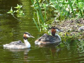 P1050201 (Large).JPG