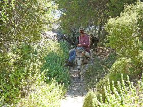 Afbeelding 121 (Large).jpg