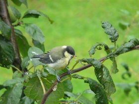 P1030486 (Large).JPG