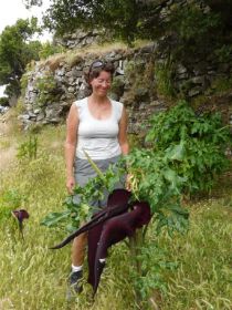 Afbeelding 047 (Large).jpg