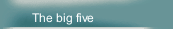The big five